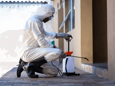 About Lincolnia Monthly Pest Prevention Plans - monthly pest prevention plans experts in Lincolnia